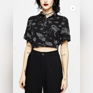 PARASITE TOP US12 UK16